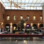 WEEK-END À TOULOUSE ET AUCH – FÉVRIER 2022